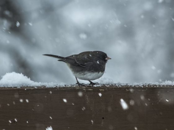 Почему нельзя жаловаться?