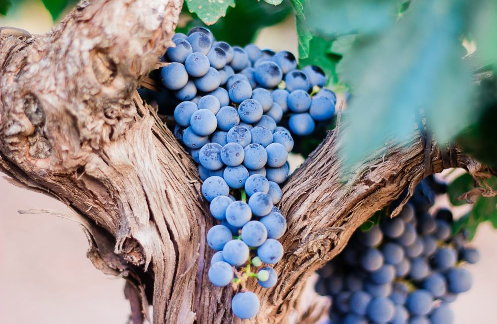 Как начать жизнь с нуля после 50 лет?