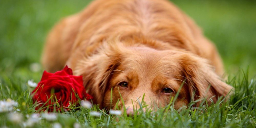 Одобрение окружающих. Как прожить без этого?