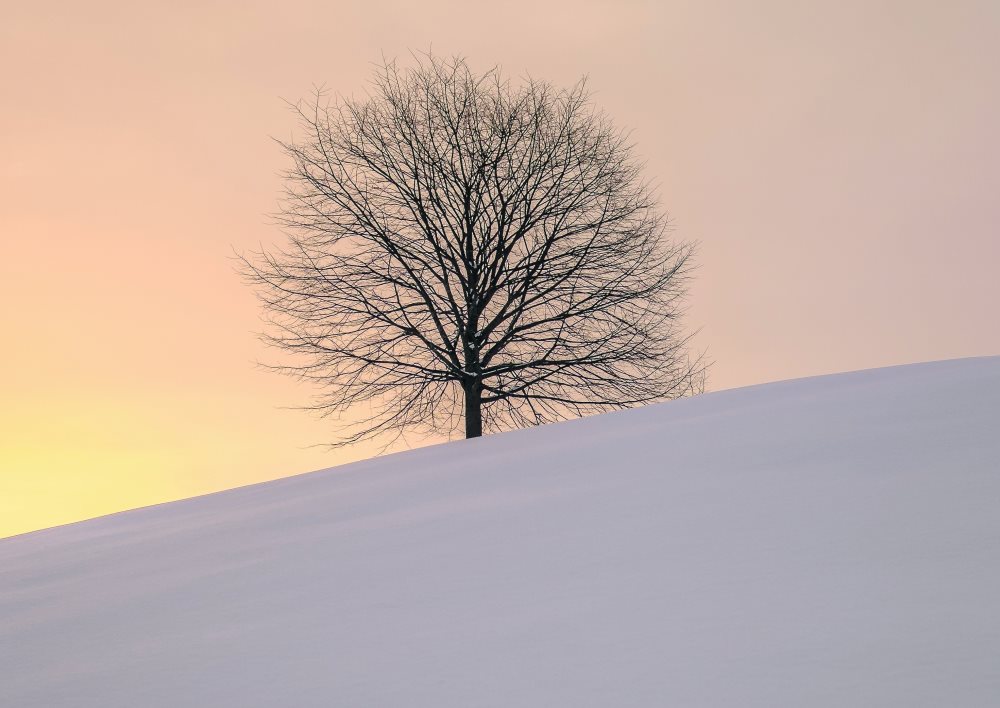 Как стать счастливым –2024. Формула счастья