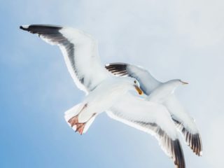 Почему вы не можете быть другом своему ребёнку?
