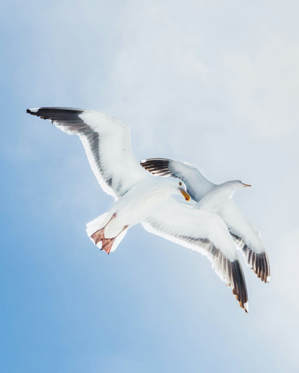 Почему вы не можете быть другом своему ребёнку?